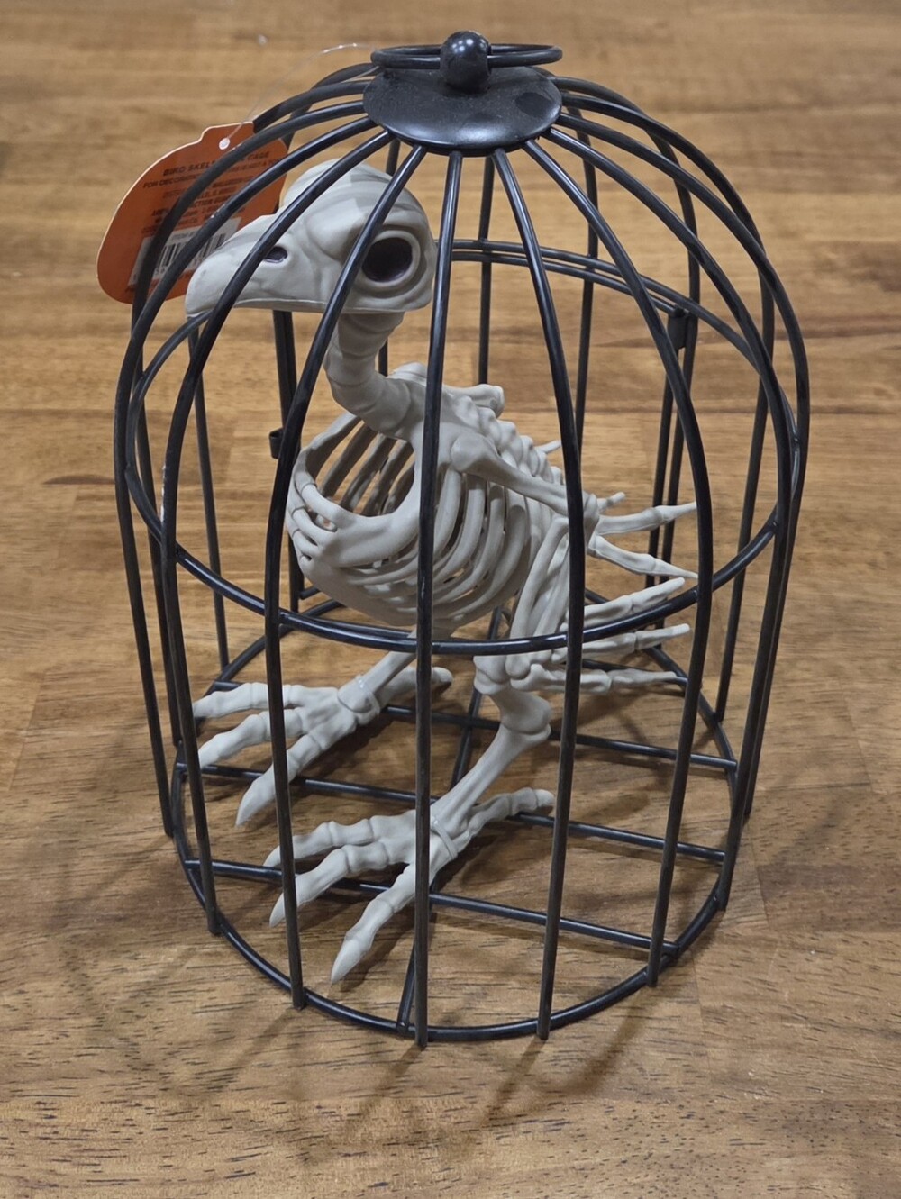 Skeleton Bird In Cage Halloween Decor